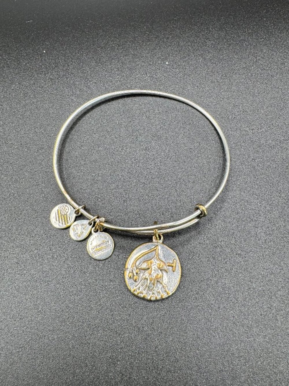 Alex and Ani Hawthorn Rulers Woods 2015 Silver and Gold Charm Bangle